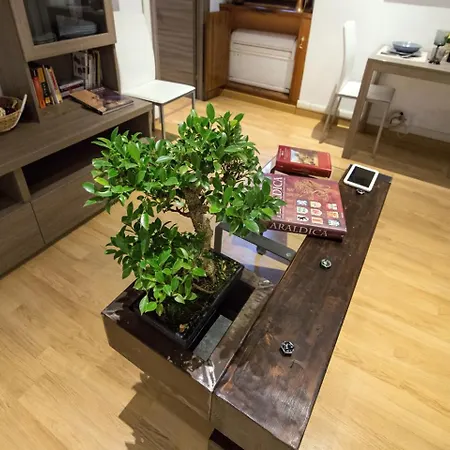 Home House Borgo Pio 195-2